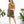Cotton Sleeveless Crop Top (TH-1986PK)
