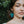 Woman wearing teal leaf-shaped earrings with a blurred green background