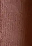 Close-up of a textured brown surface