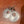 Silver earrings with circular designs on a wooden surface