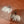 Silver elephant earrings on a wooden surface