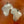 Silver Africa map earrings on a brown surface