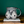 Ceramic mug with black and white pattern on a wooden surface and green background