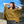 Woman wearing a mustard yellow boxy top and dark jeans standing on a beach with trees and blue sky in the background.