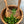 Olive Wood Family Salad Bowl 10